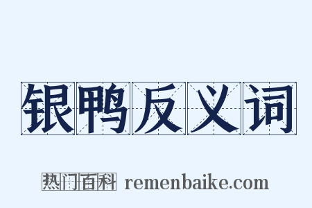 银鸭反义词是什么意思的图片